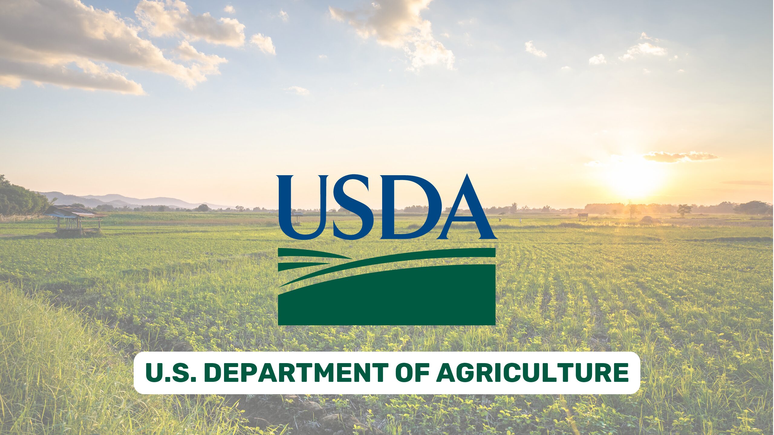 USDA Offers Disaster Recovery Assistance to Agricultural Producers in California Impacted by Recent Flooding