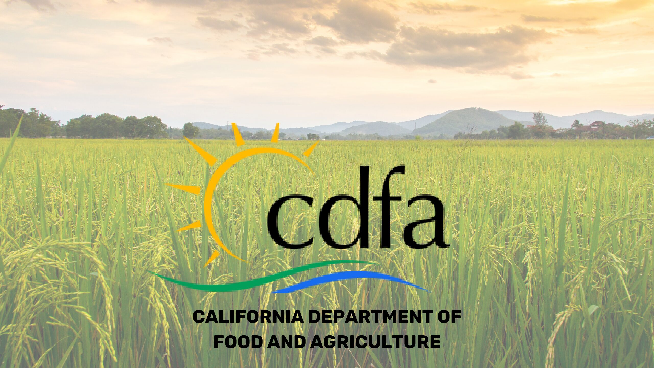 CDFA | Rapid Response Funding Application